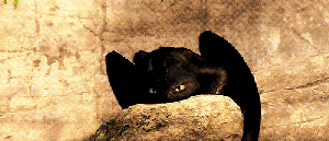 tumblr_n7wtu3hg4w1tfft79o1_500